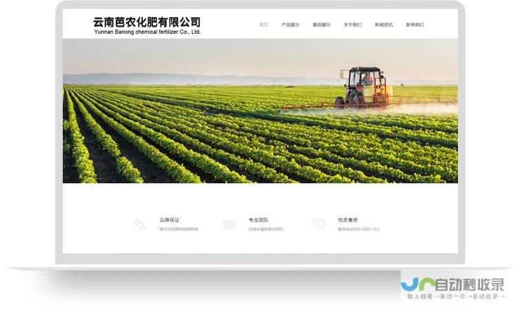石家庄网站建设服务：提升品牌形象，助力业务增长